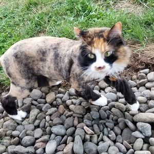 Meet your Posher, Jared